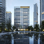 ����˳���ø�